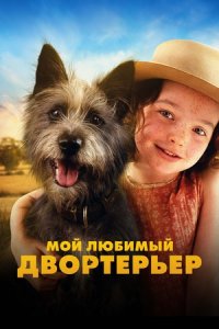 Мой любимый двортерьер