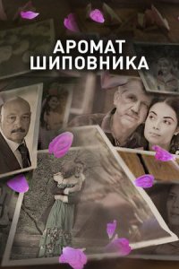 Аромат шиповника Аромат шиповника